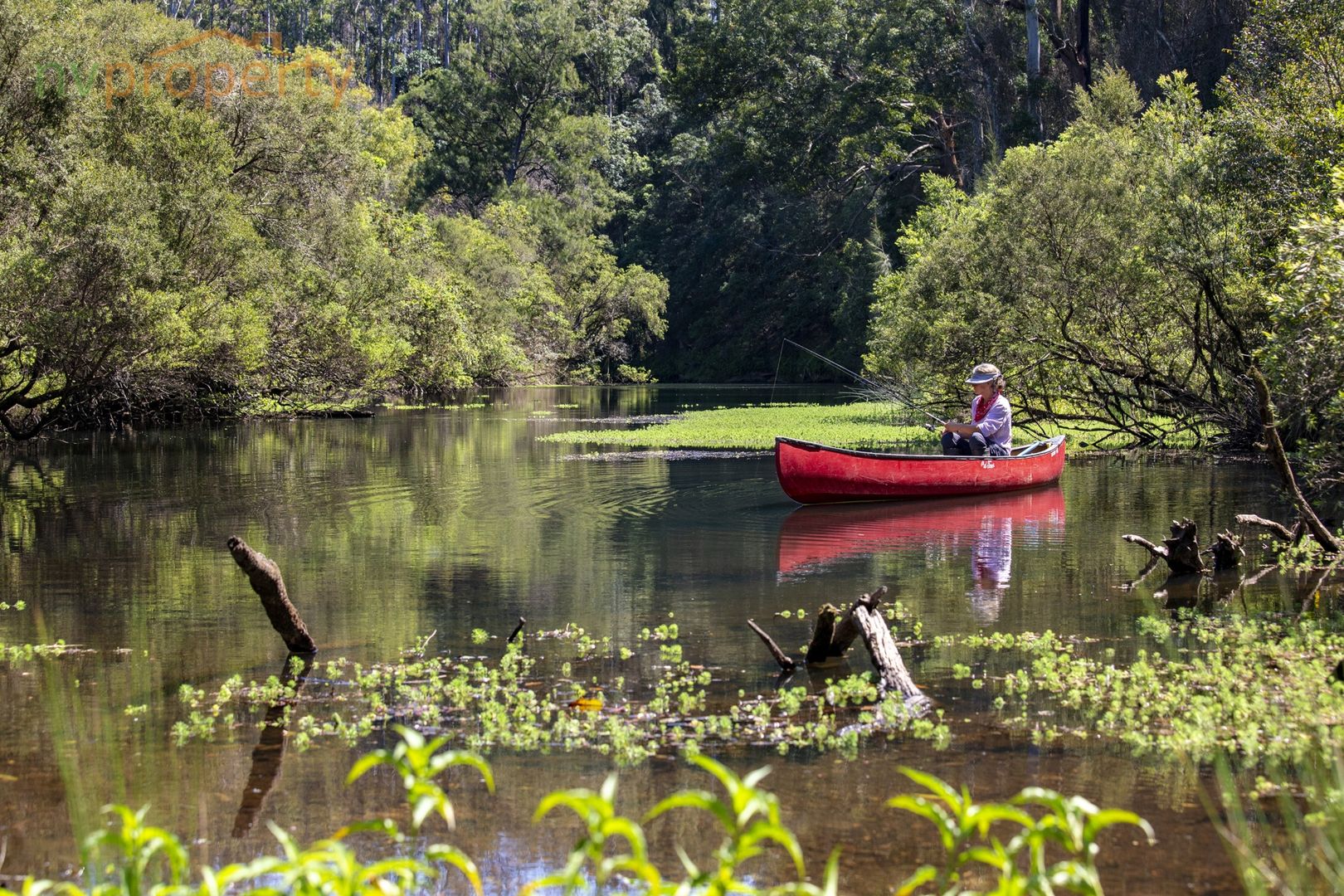 317 North Bank Road, Yarranbella NSW 2447, Image 1