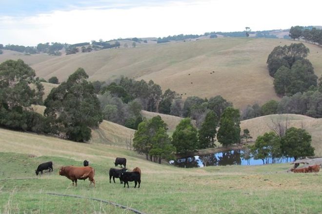 Picture of 269 Mountain View-McDonalds Track, MOUNTAIN VIEW VIC 3988