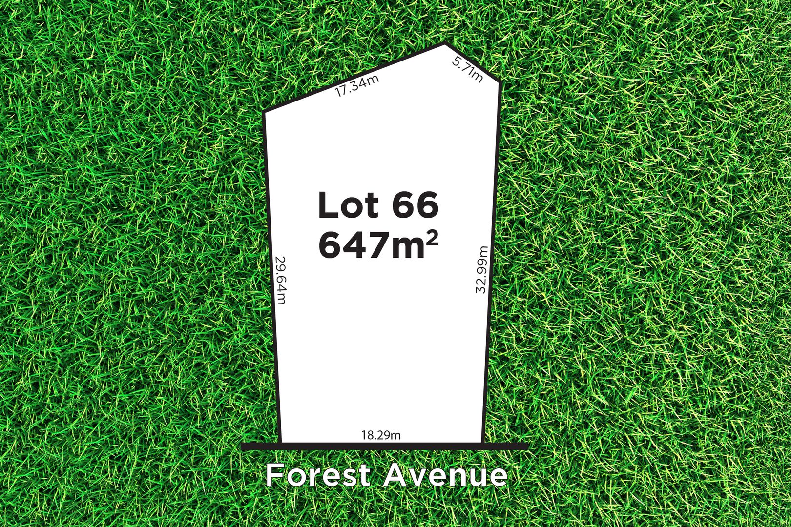 9 Forest Avenue, Rostrevor SA 5073, Image 1