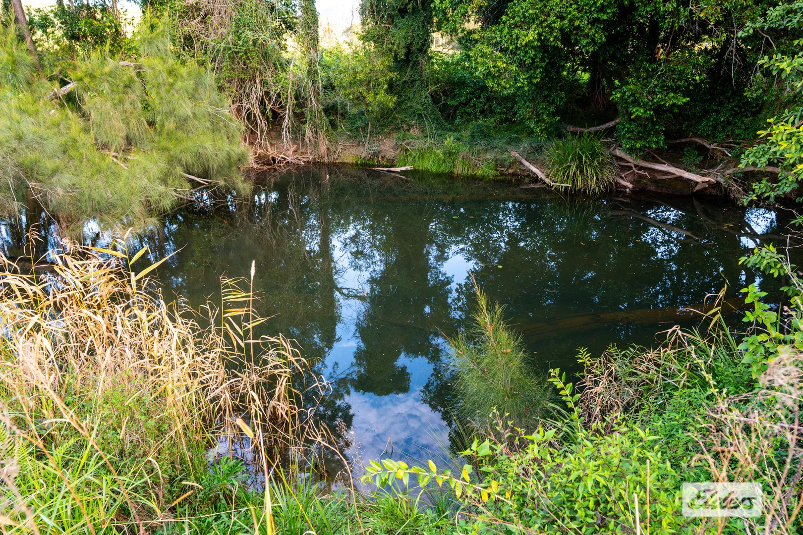 Image 37