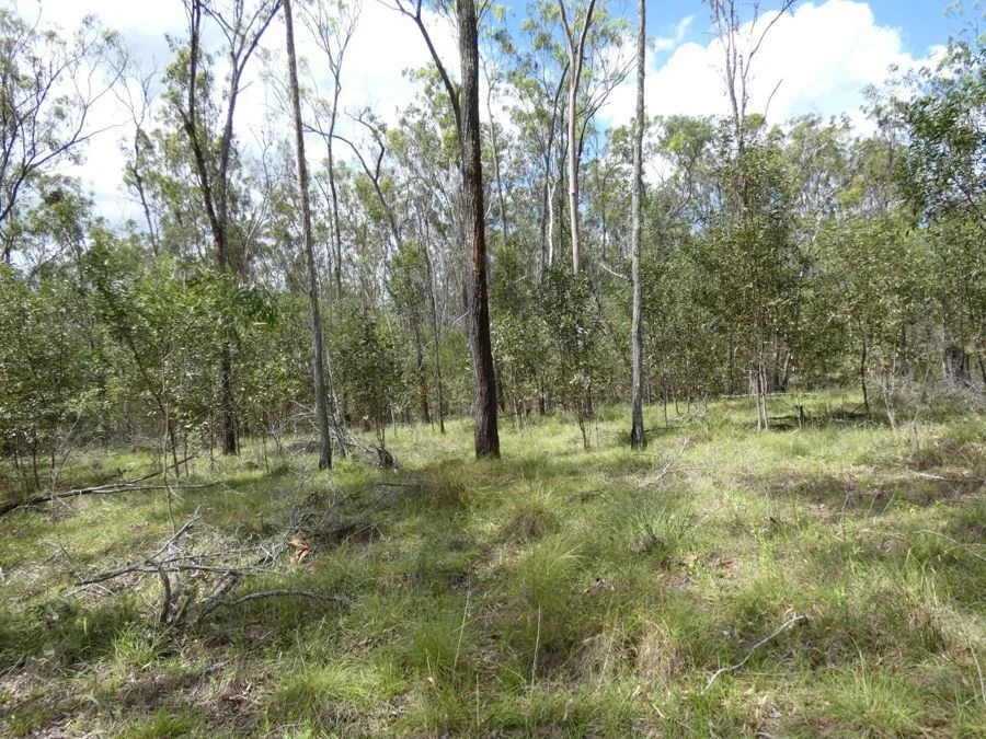 Image 35