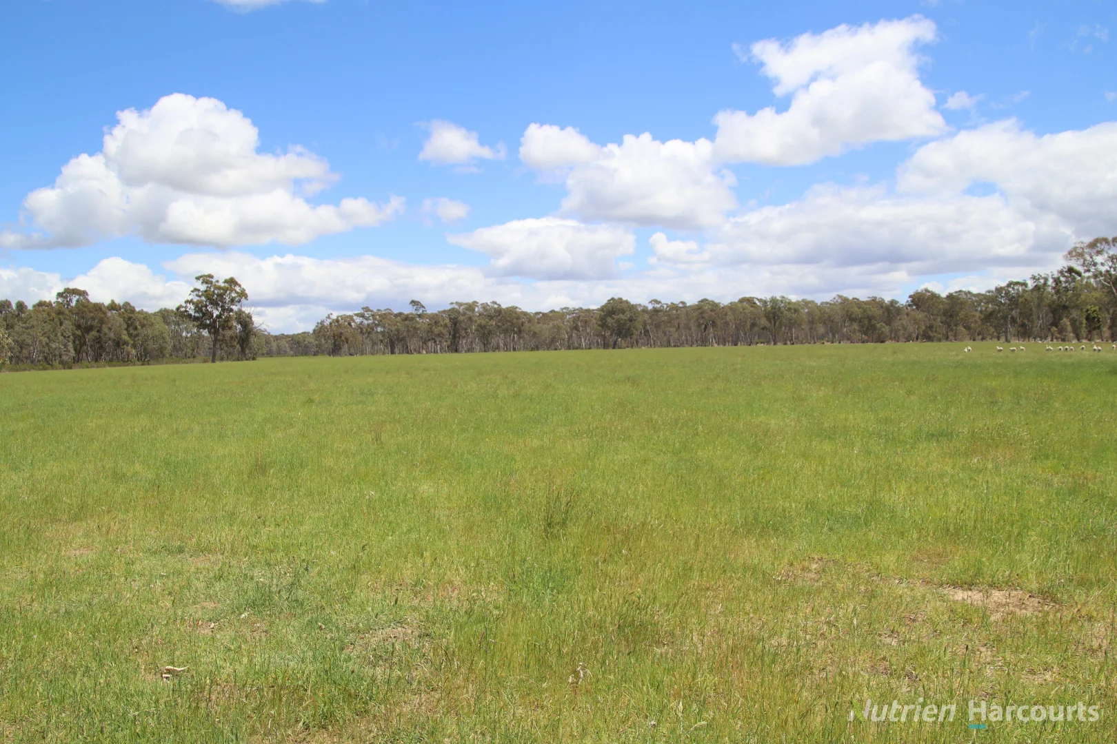 Additional image 11 of 345 McDonalds Road, Clunes VIC 3370