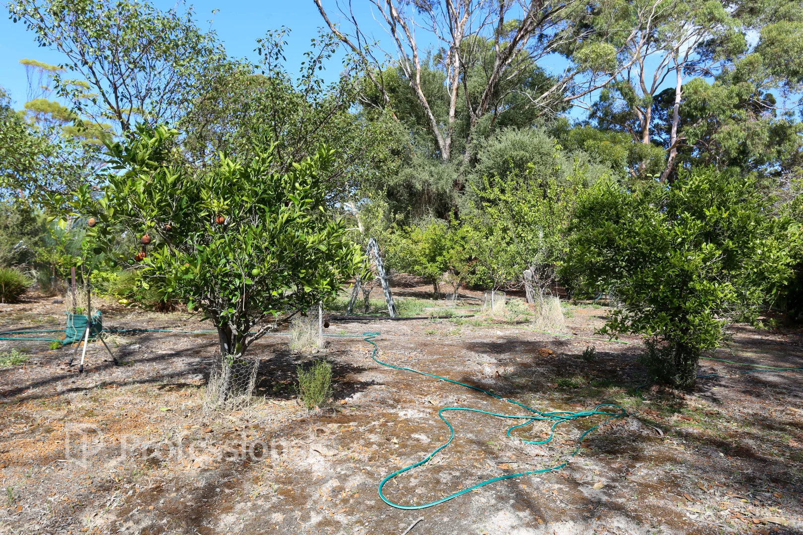Additional image 30 of Lot 34 Fisheries Road, Myrup WA 6450