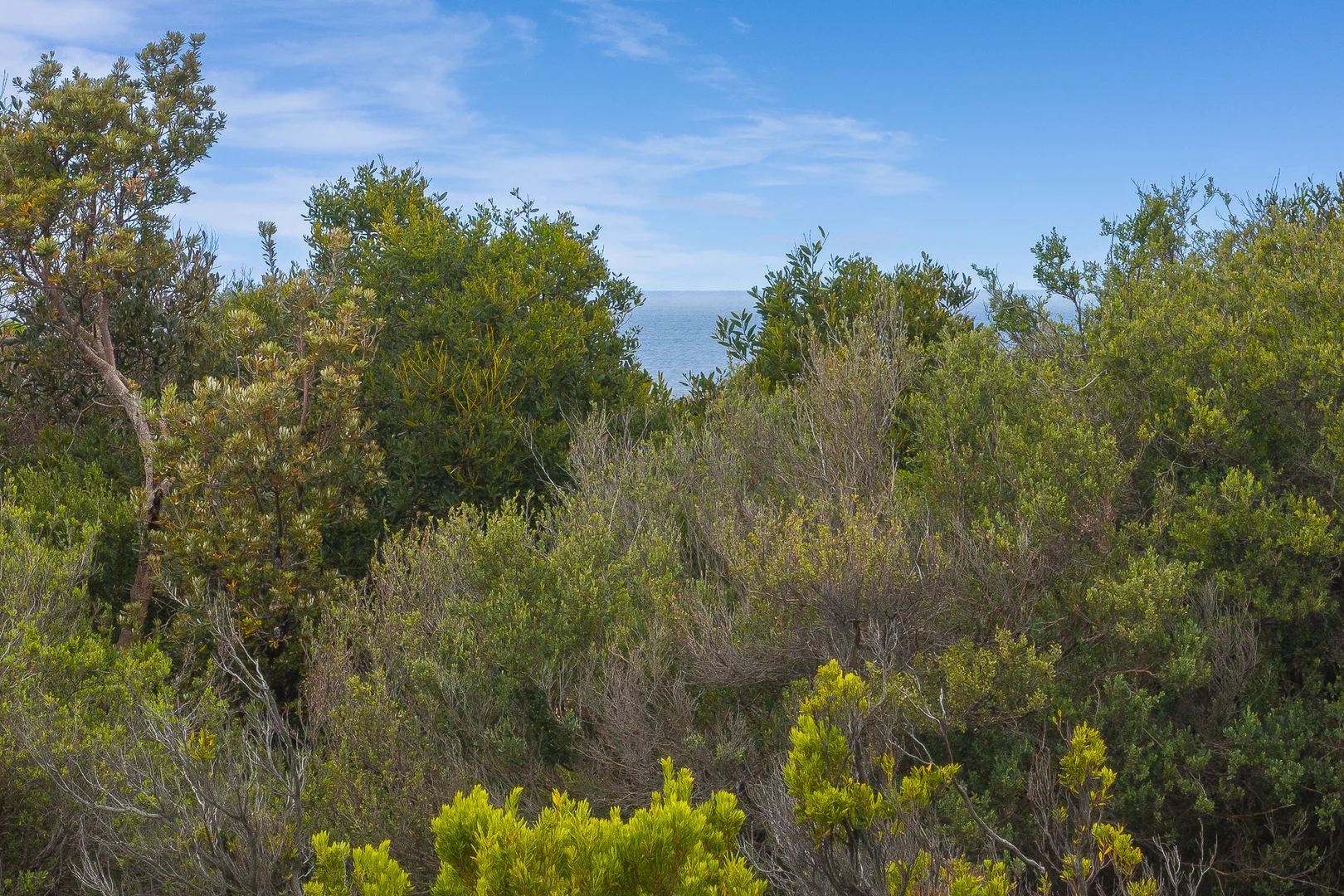 Additional image 22 of 98 Surf Beach Rd, Cape Paterson VIC 3995