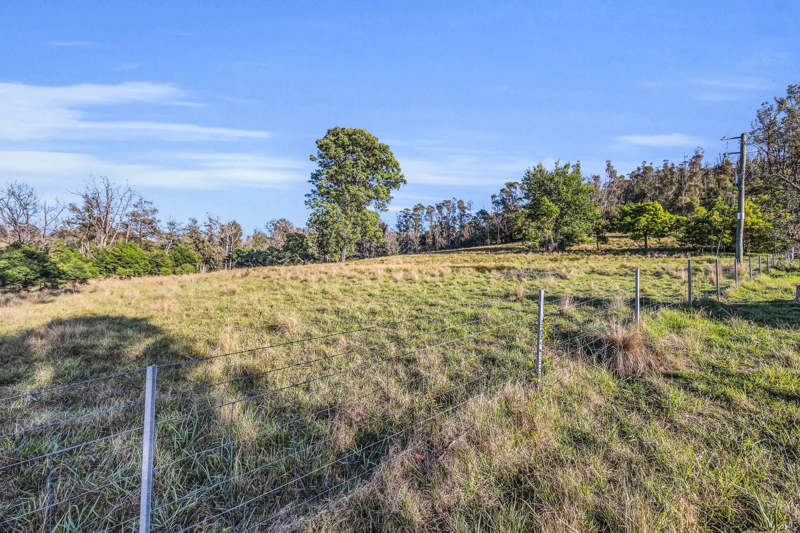 Additional image 12 of 718 Yowrie Road, Yowrie NSW 2550