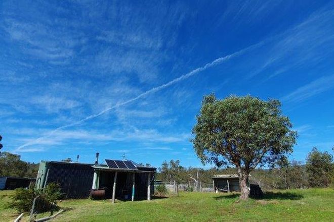 Picture of "Sawpit" 1530 Balgownie Road, DELEGATE NSW 2633