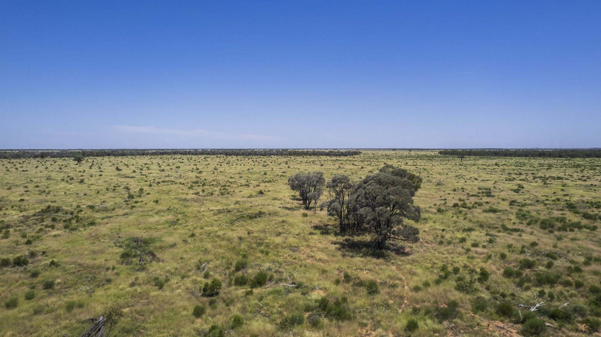 5570 Fernlee Road, Bollon QLD 4488, Image 1