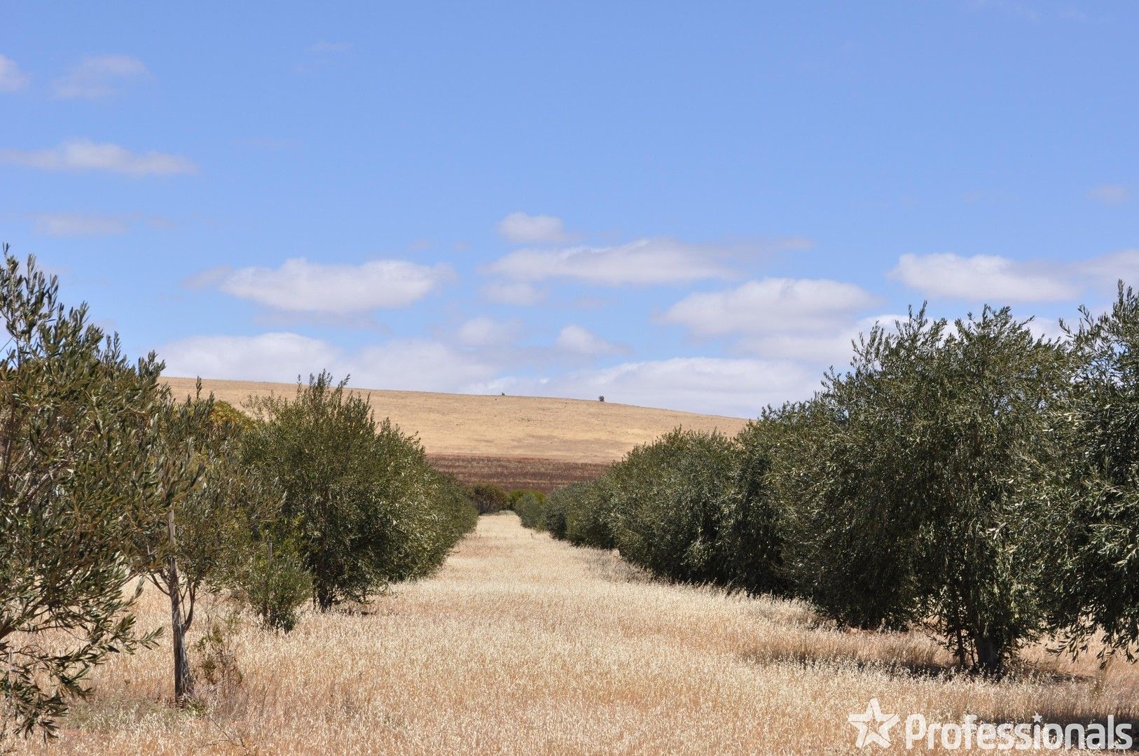 Section 426 Worlds End Highway, Eudunda SA 5374, Image 0