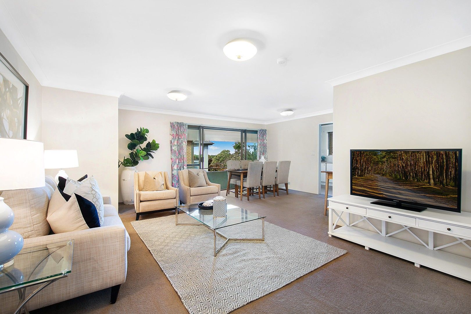 14/13-17 Clanwilliam Street, Willoughby NSW 2068, Image 0