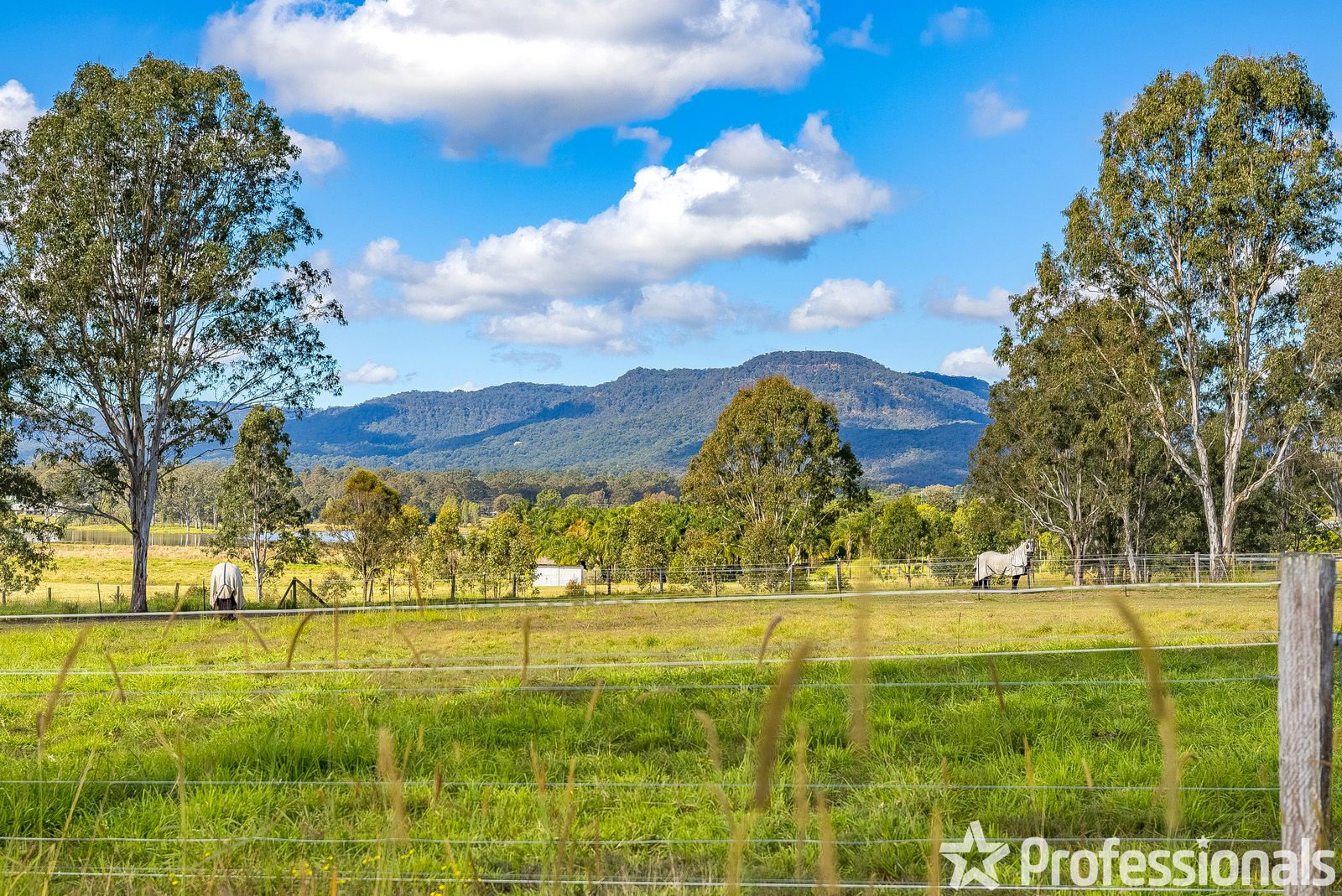 189 Larch Road, Tamborine QLD 4270, Image 1