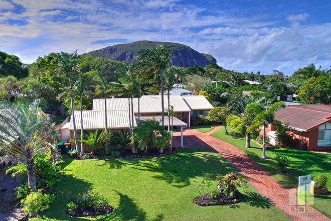 Picture of 40 Burremah Crescent, MOUNT COOLUM QLD 4573