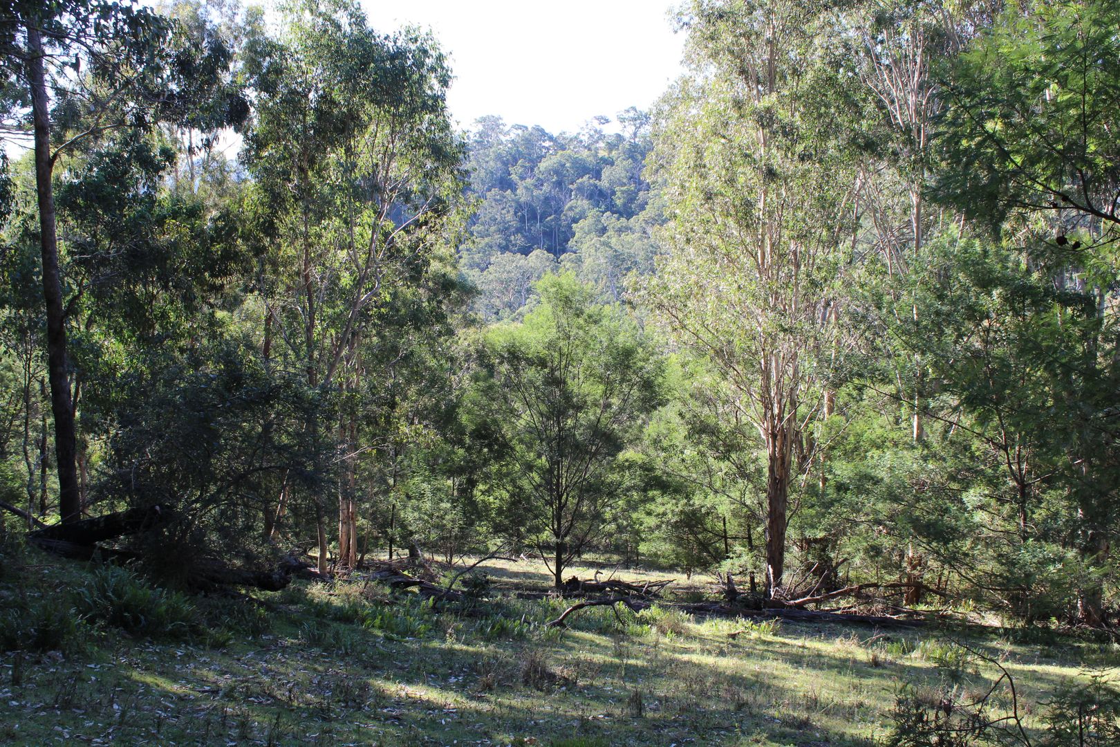 Lot 17 Eagles Nest Rd, Brogo NSW 2550, Image 2