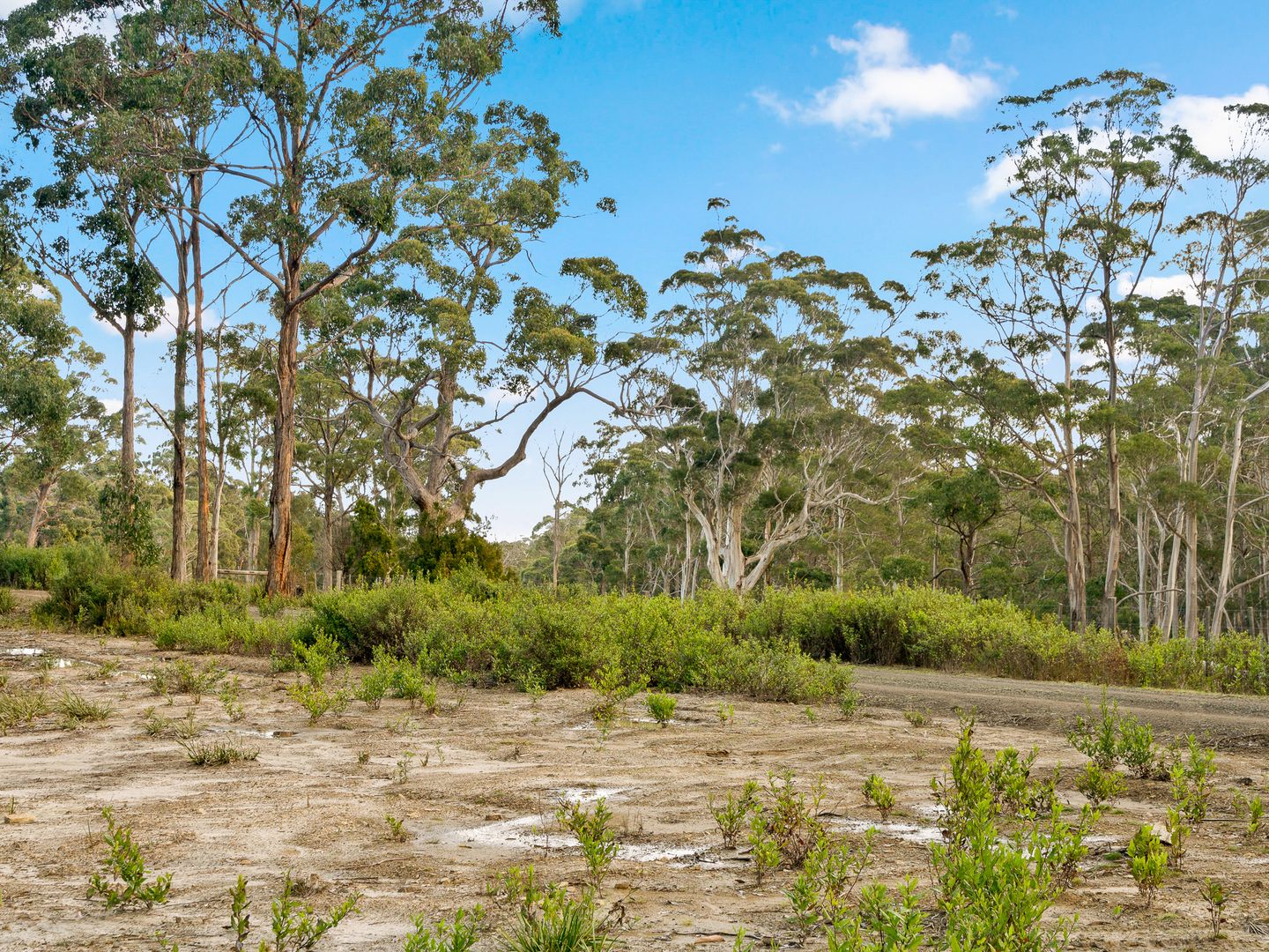 Lot 1 Marys Road, Nubeena TAS 7184 Vacant Land for Sale 298,000