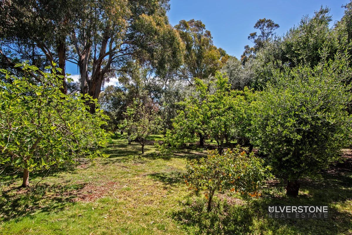 Additional image 13 of 6A Adina Ct, Penguin TAS 7316