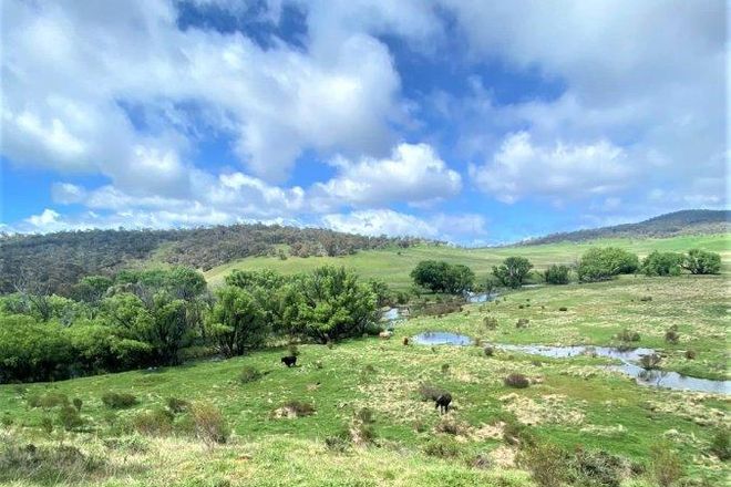 Picture of Lot 177 Eucumbene Road, NIMMO NSW 2628