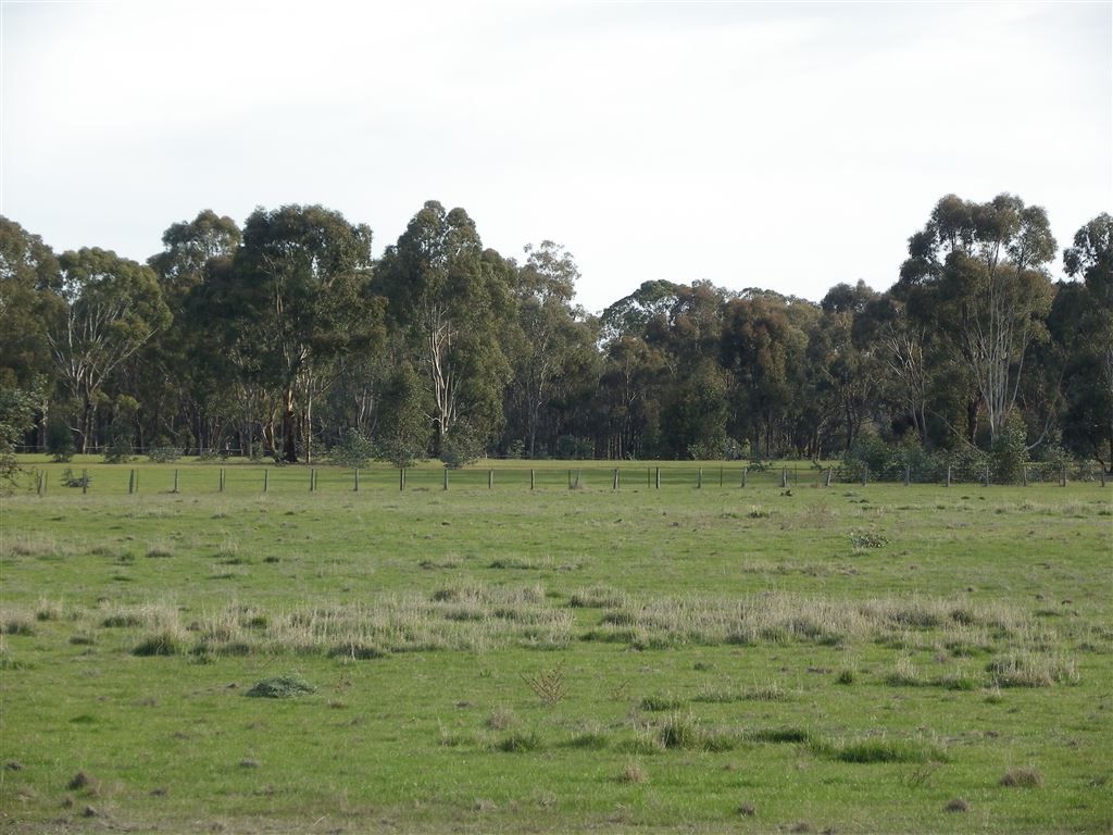 CRN Northern Highway & Toolleen Axedale Road, Toolleen VIC 3551, Image 0