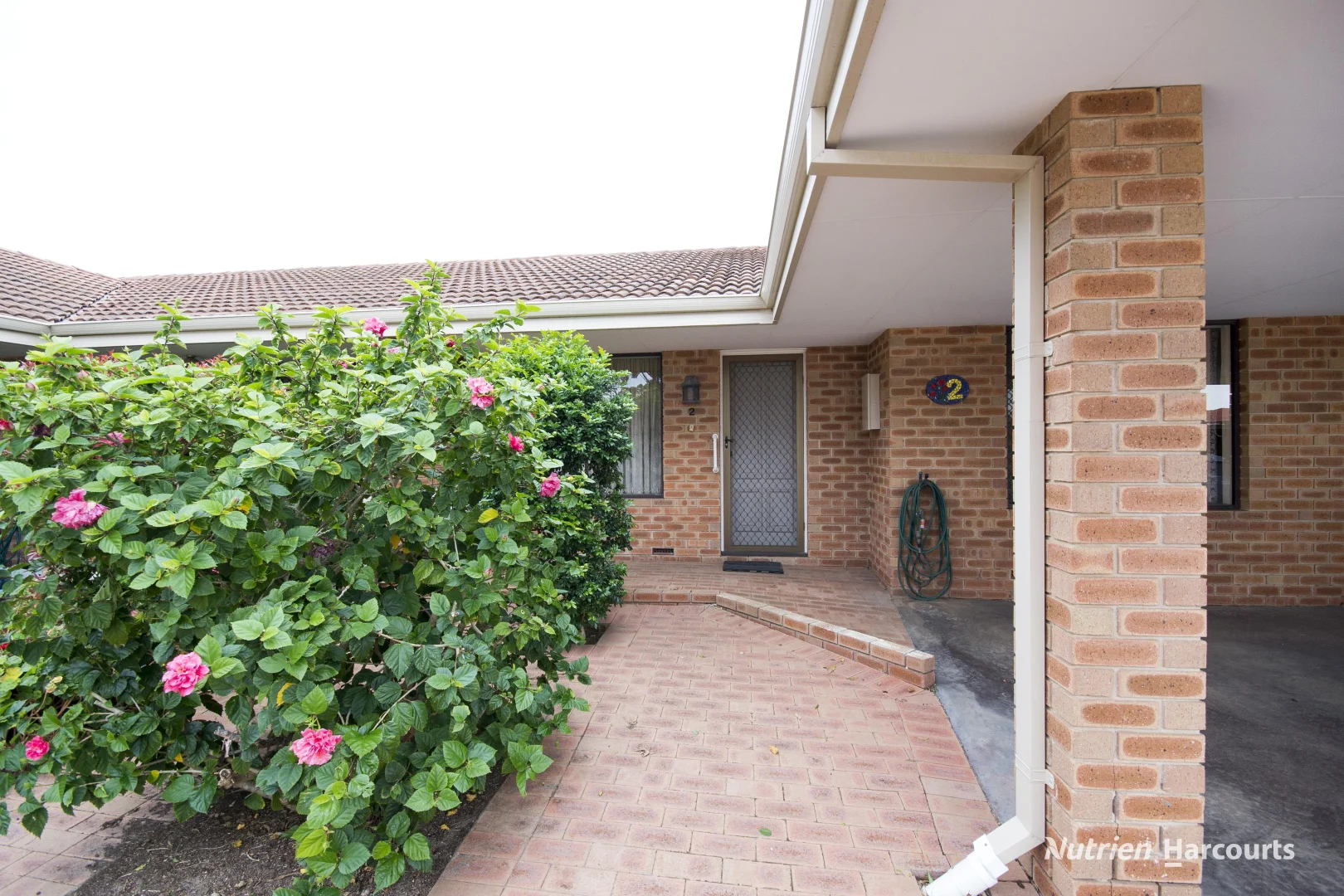 Image 22