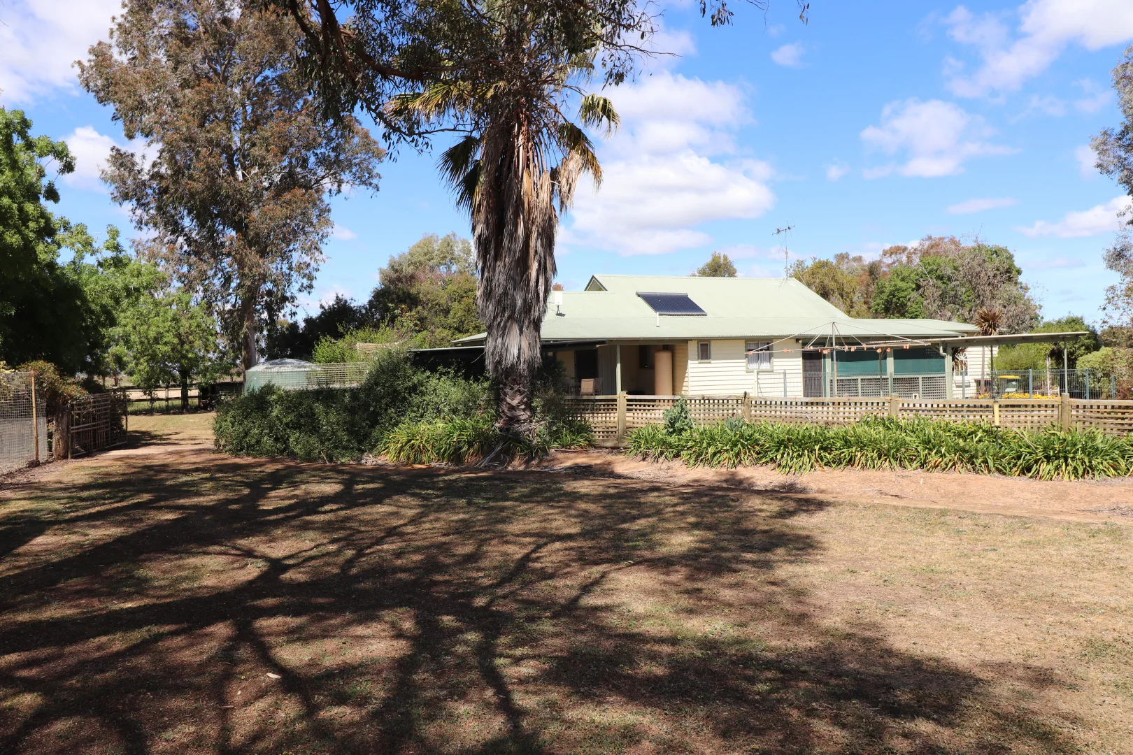 Image 12