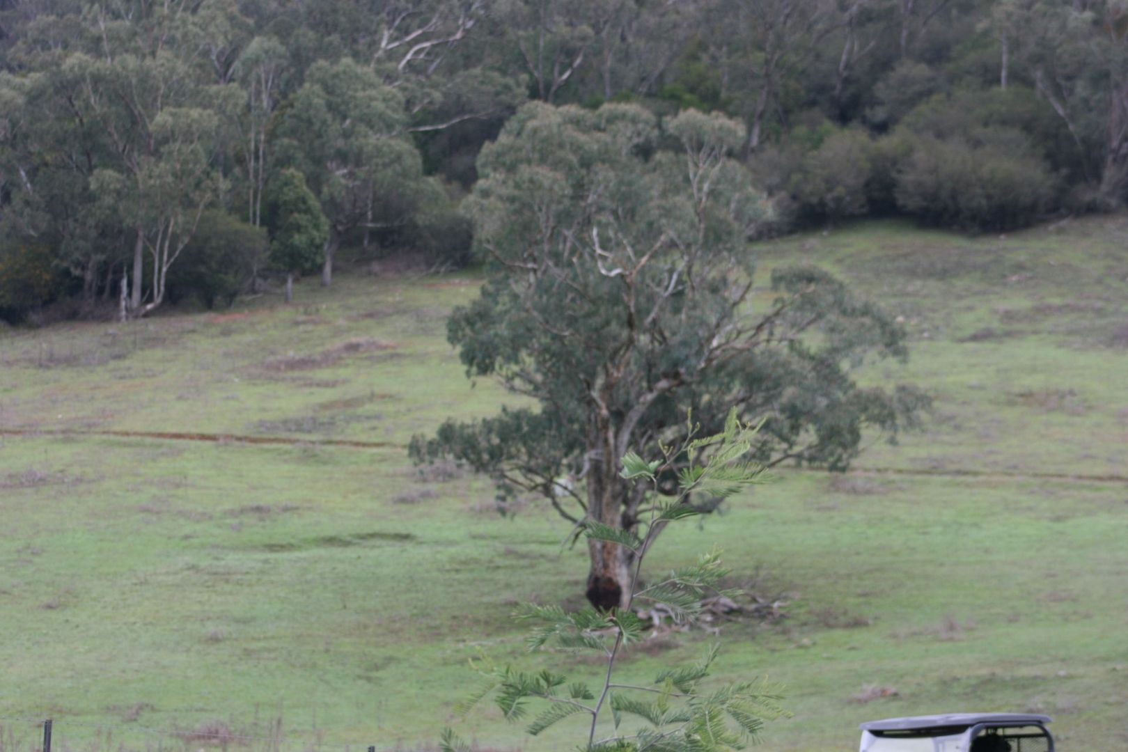 Lot 54 Goobarragandra Road, Goobarragandra NSW 2720, Image 2