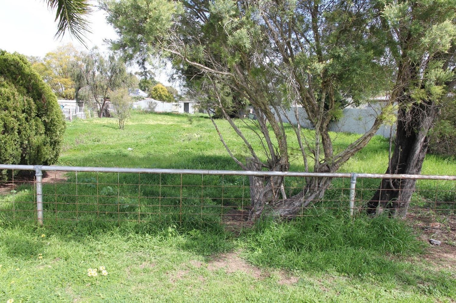 Vacant land in 8 Barwon Avenue, MOREE NSW, 2400