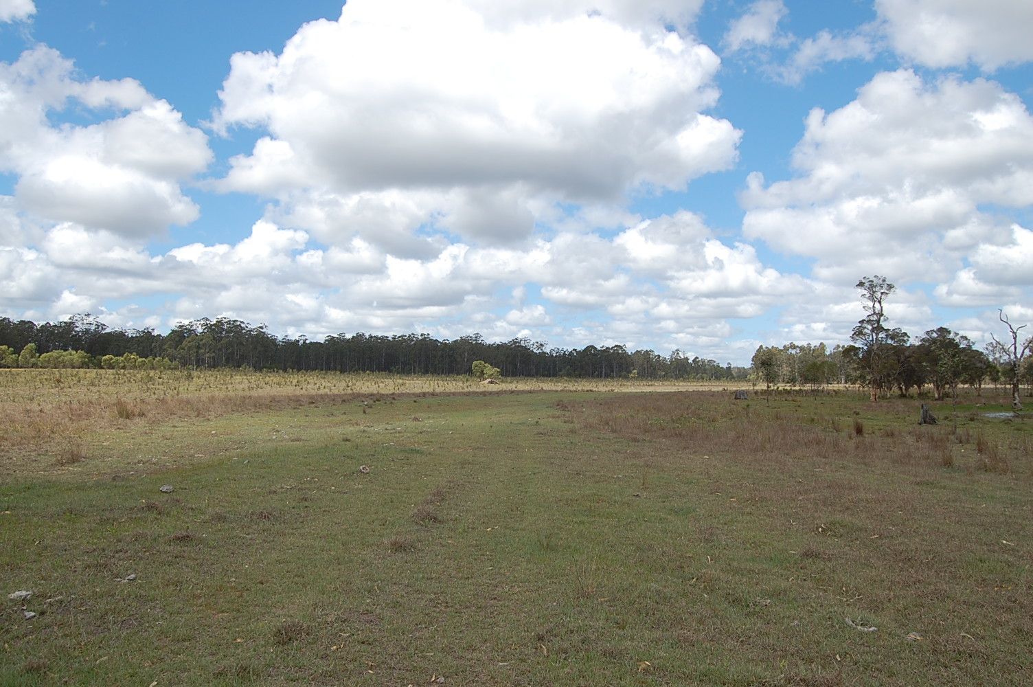 Six Mile, CAMIRA NSW 2469, Image 2