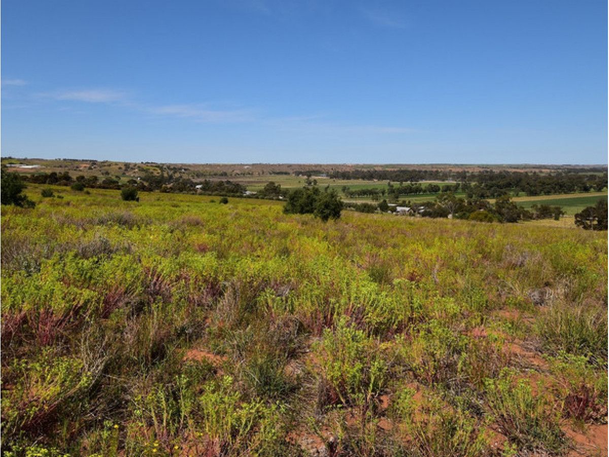 Lot 341 and 346 Rundle Road, Ponde SA 5238, Image 1