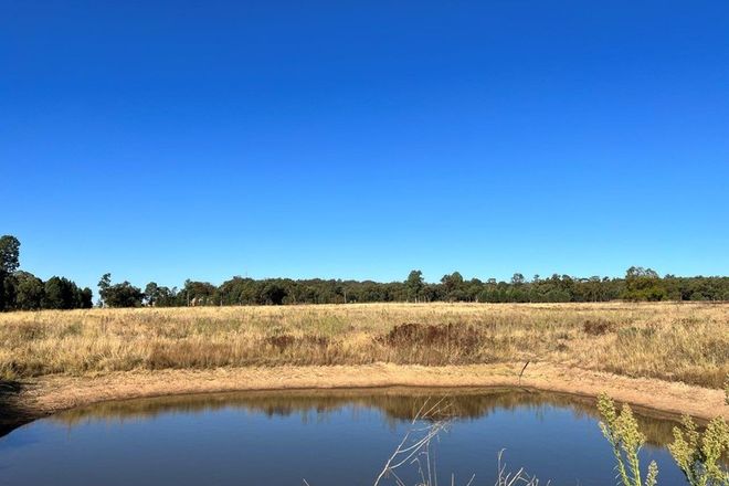 Picture of 501 Elong Elong Road, ELONG ELONG NSW 2831