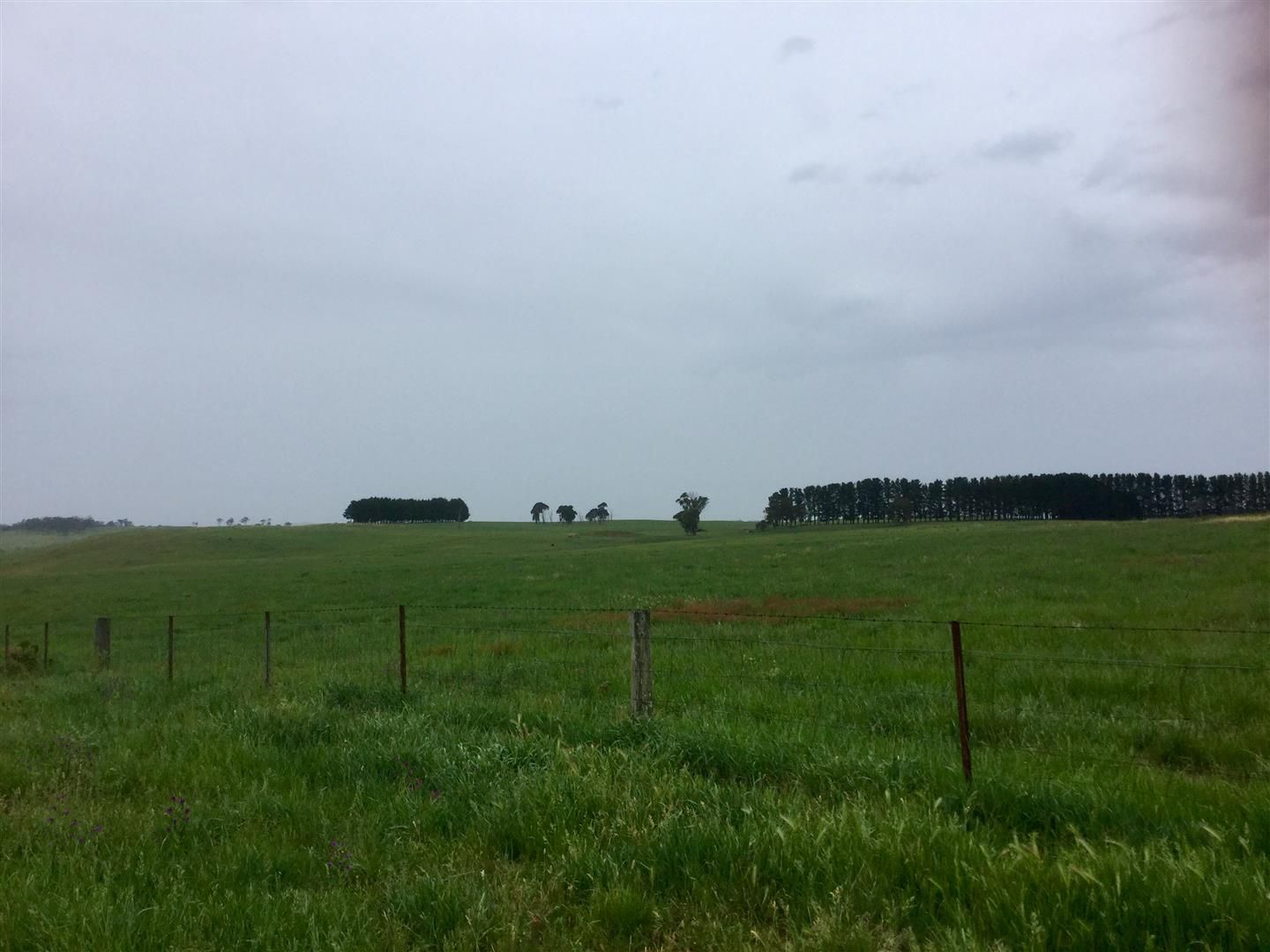 340 Howes Road, Mount David Property History & Address Research Domain