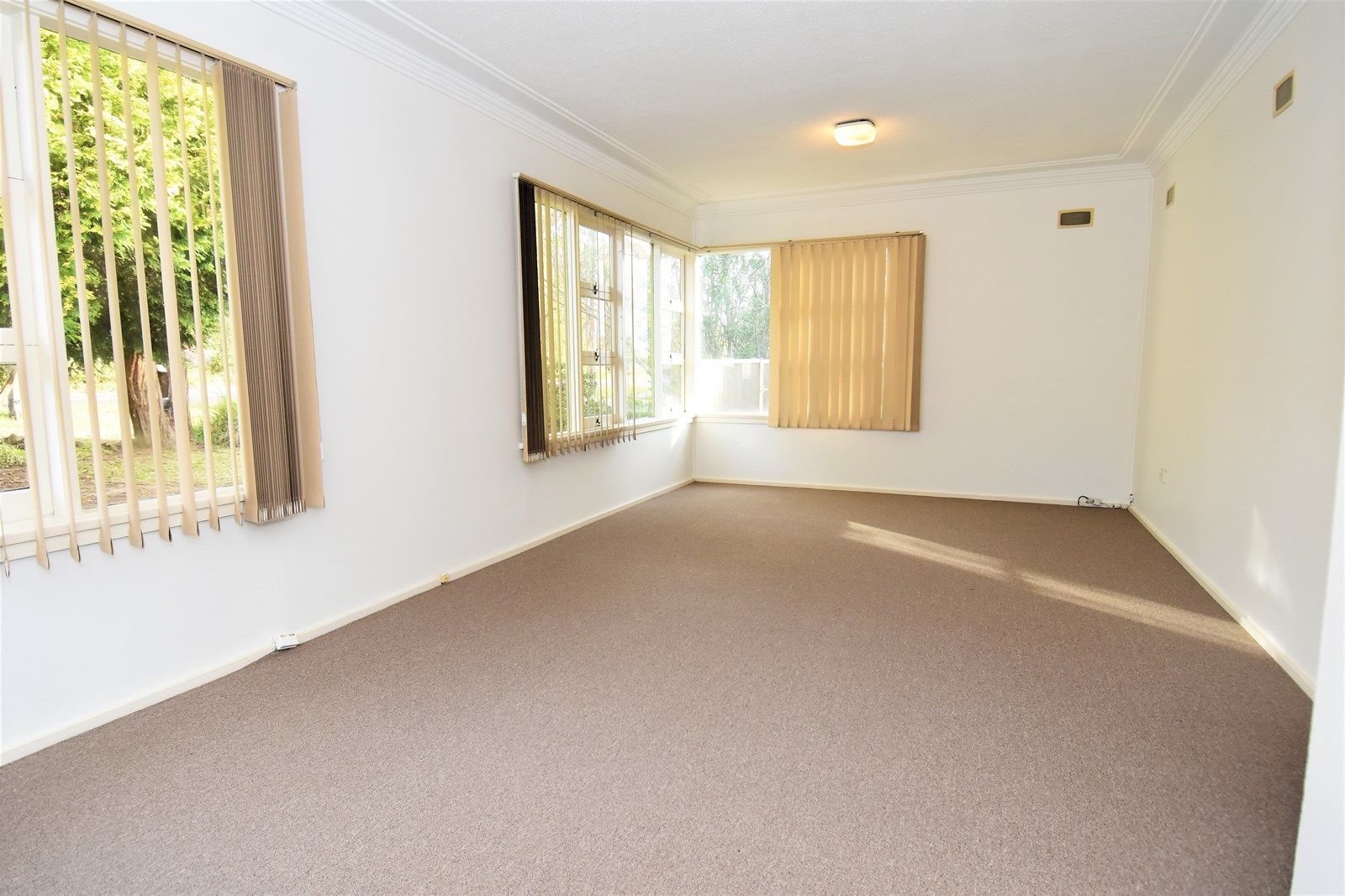 241 Loftus Avenue, Loftus NSW 2232, Image 2