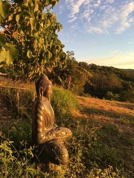 Additional image 11 of Main Arm NSW 2482