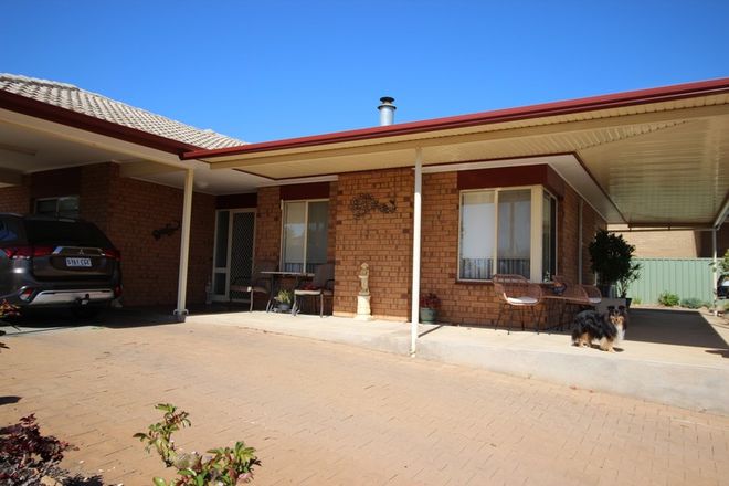 Picture of 4 Arnold Street, WAIKERIE SA 5330