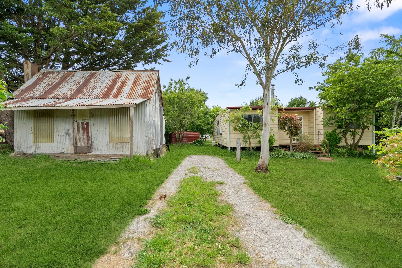 Image 12