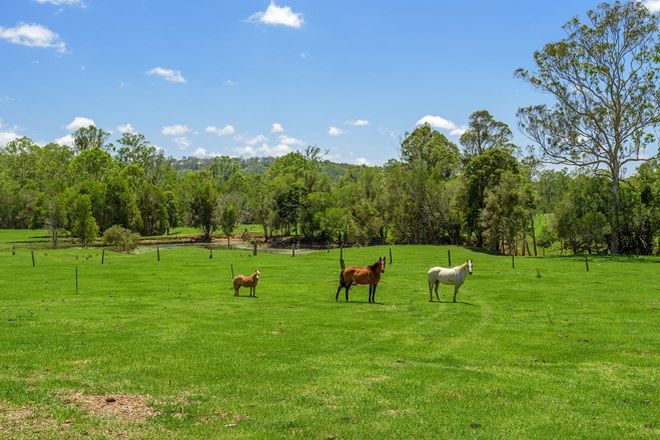 Picture of 25 Traveston Crossing Road, KYBONG QLD 4570
