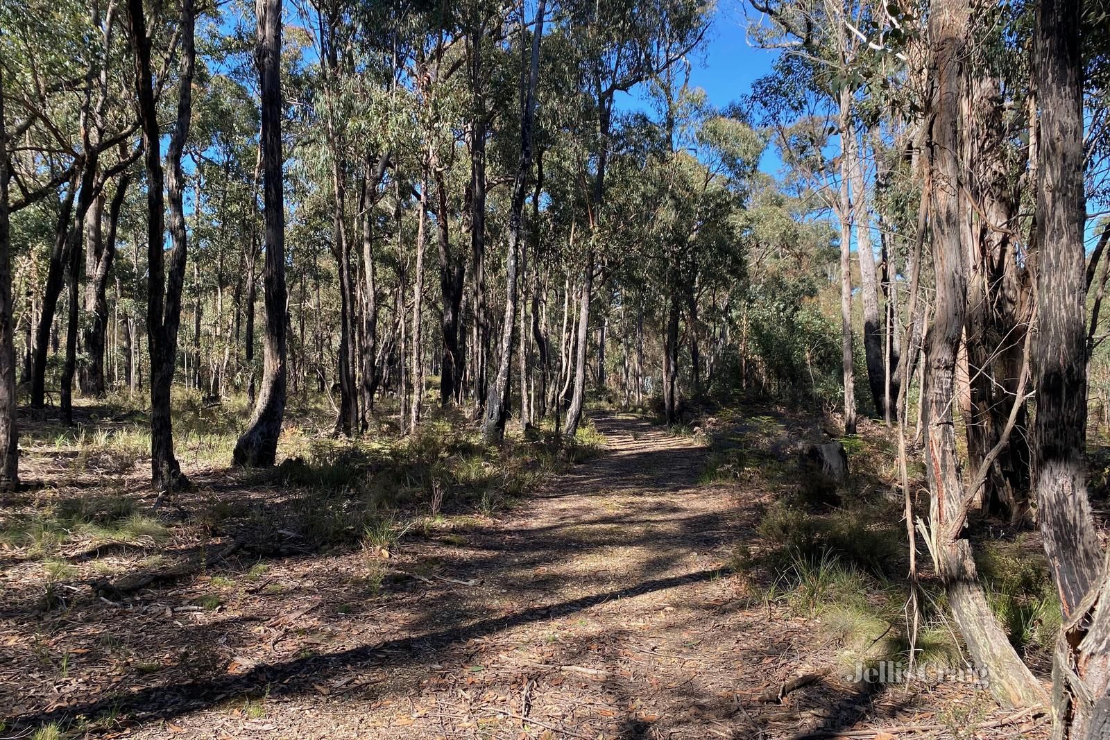 CA2C Section B Possum Gully Road, Snake Valley VIC 3351, Image 1