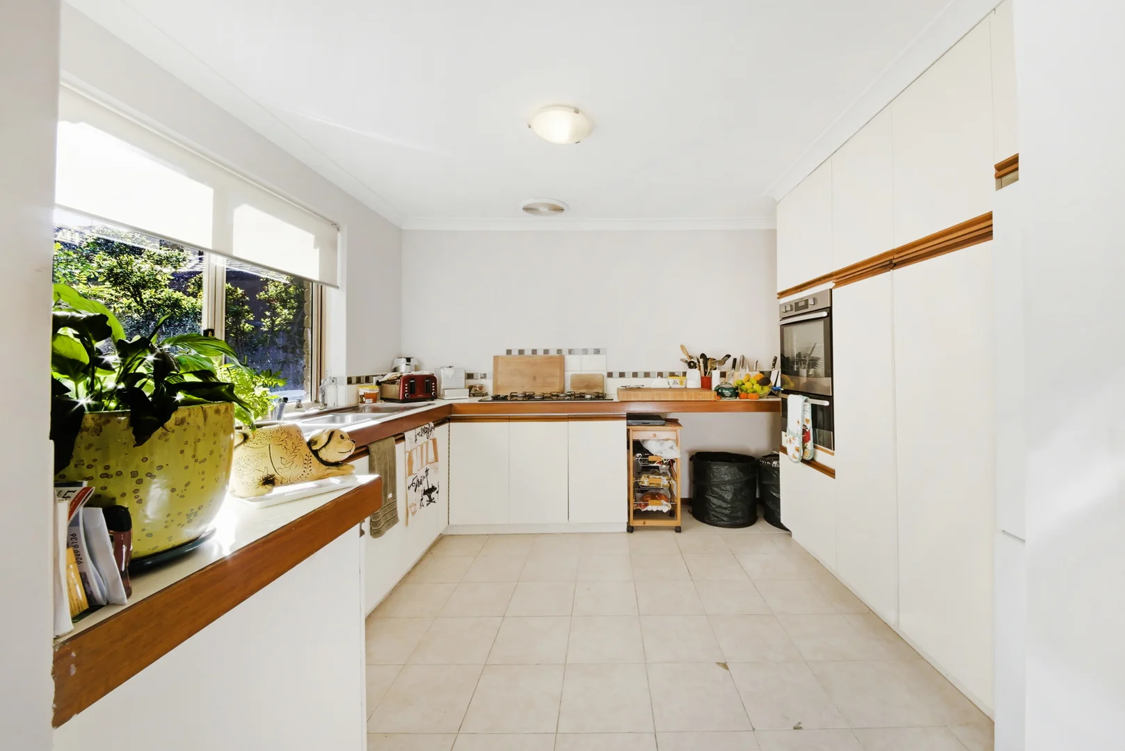 Image 12