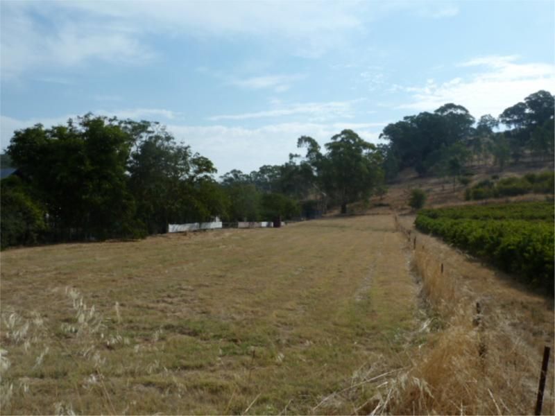 Lot 101 Main North Road, PENWORTHAM SA 5453, Image 1