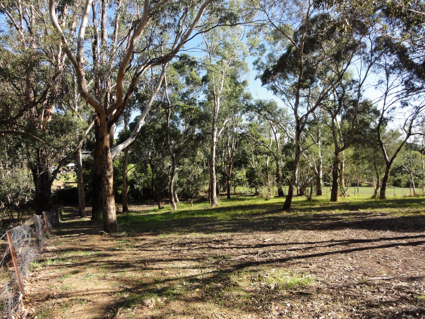 28  (Lot 20) Marianna St, Echunga SA 5153, Image 1