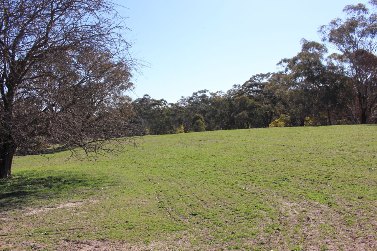 Messners Road, Fosters Valley NSW 2795, Image 2