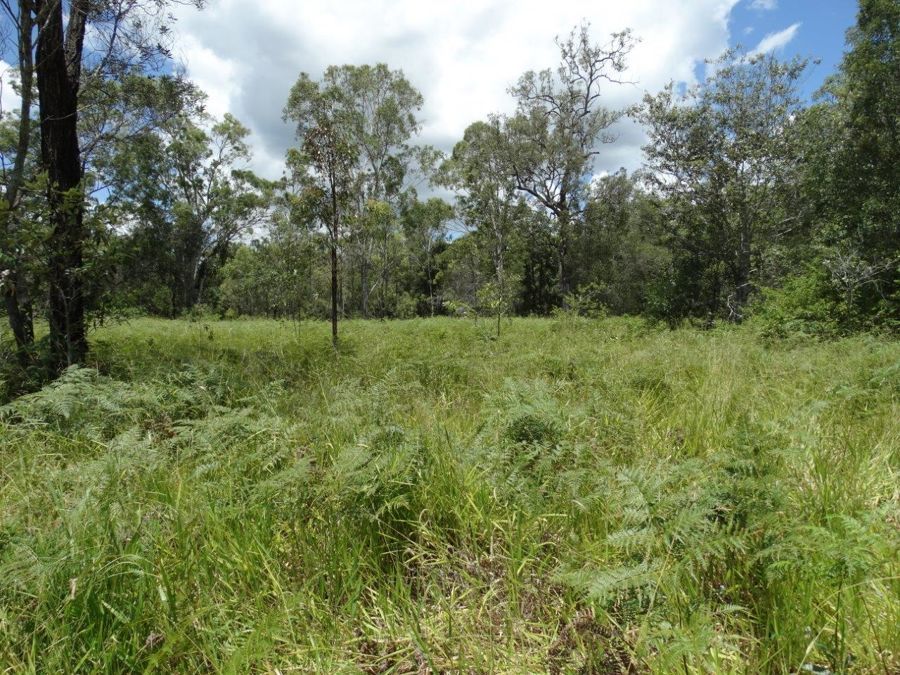 Lot 4 Lowmead Road, Lowmead QLD 4676, Image 1