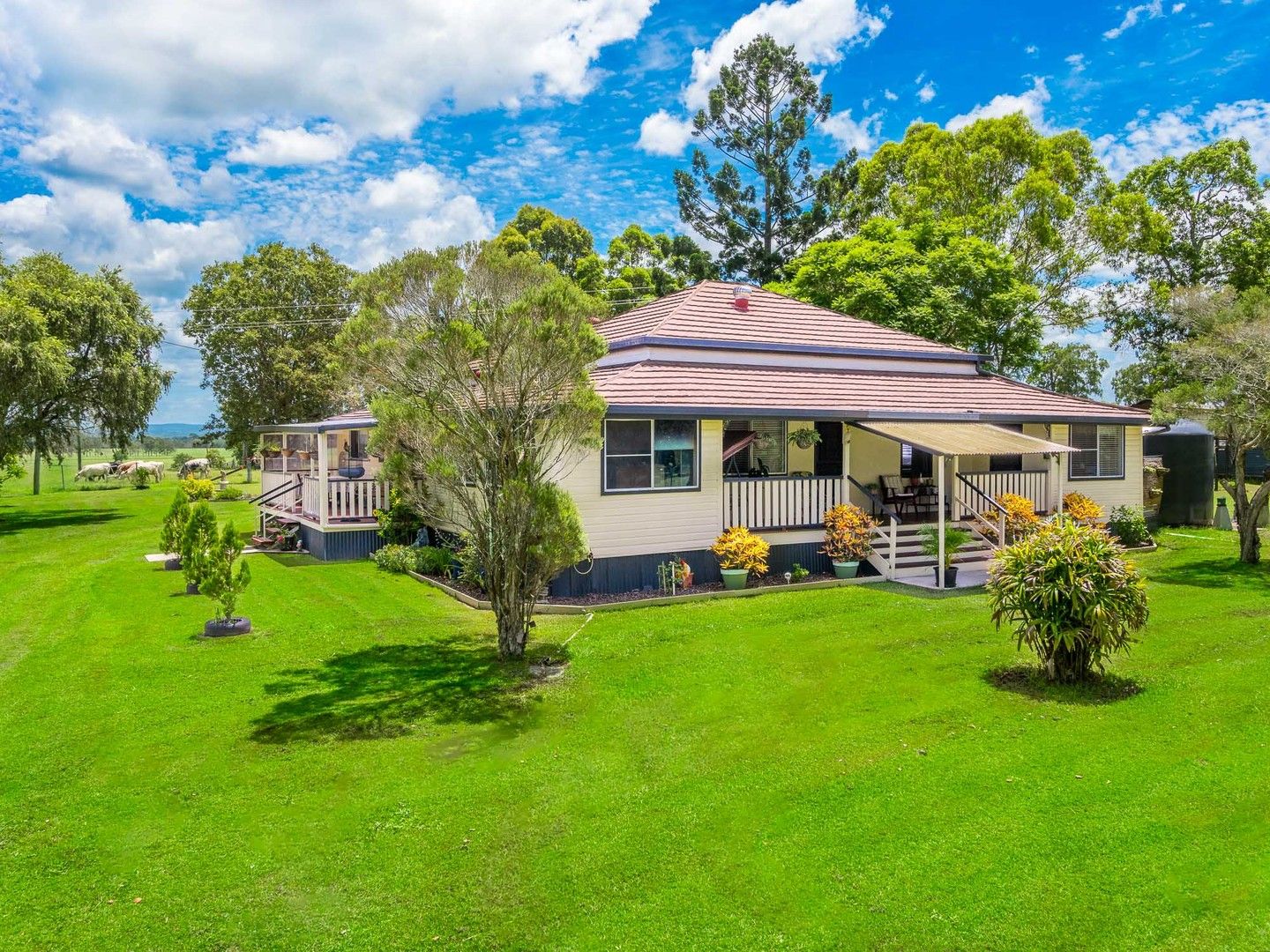 11685 Summerland Way, Fairy Hill NSW 2470 House for Sale 895,000