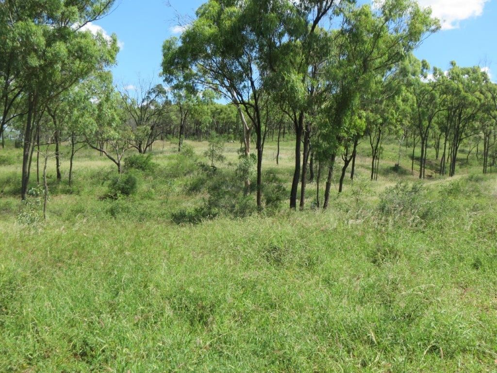 Black Jack Road, Black Jack QLD 4820, Image 2