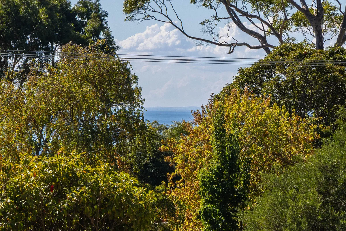 Image 15