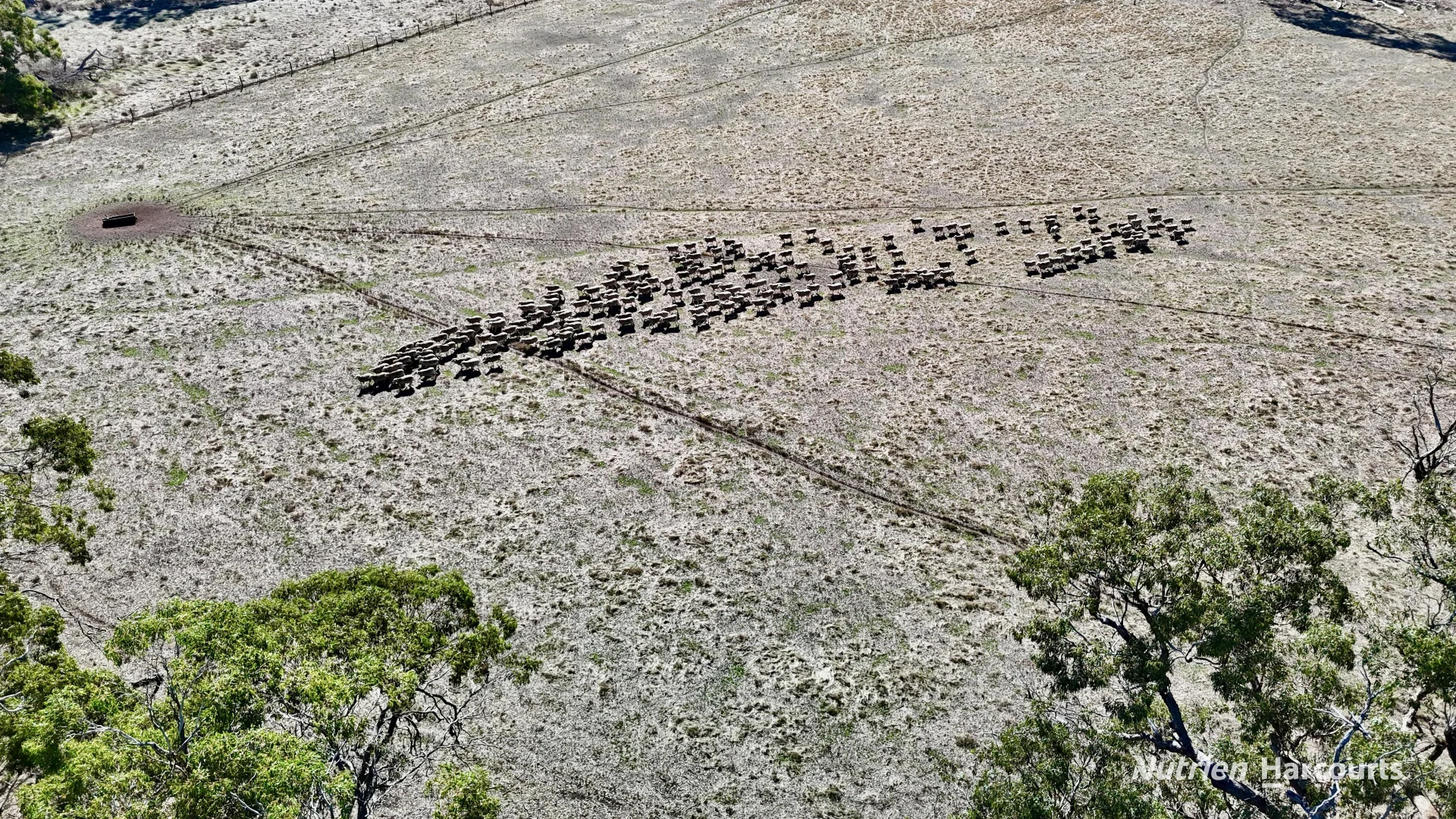 Additional image 8 of Allotment 39 Paynes Lane, Digby VIC 3309