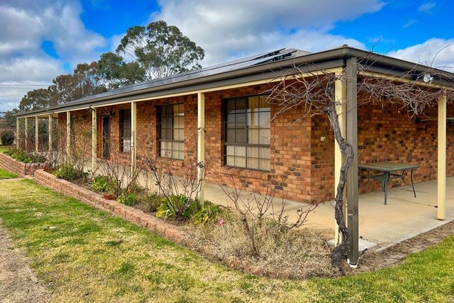 Picture of 13 Tongbong Street, RYLSTONE NSW 2849