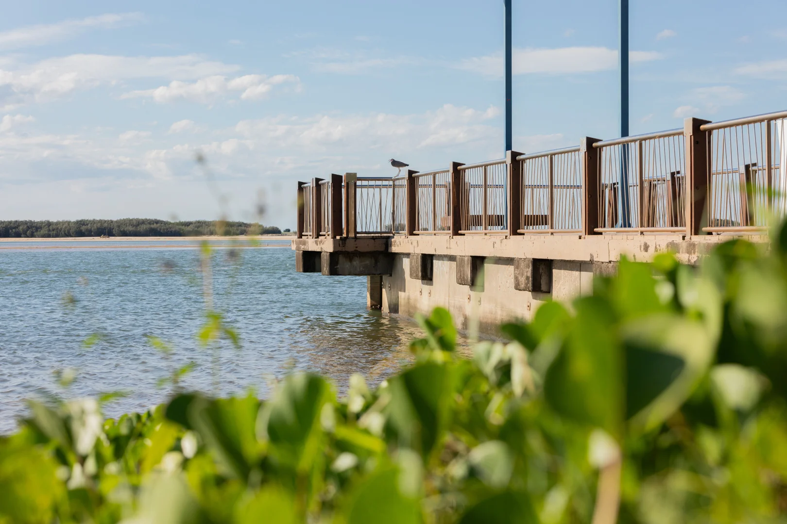 Additional image 10 of 29 Prosperity Drive, Birtinya QLD 4575