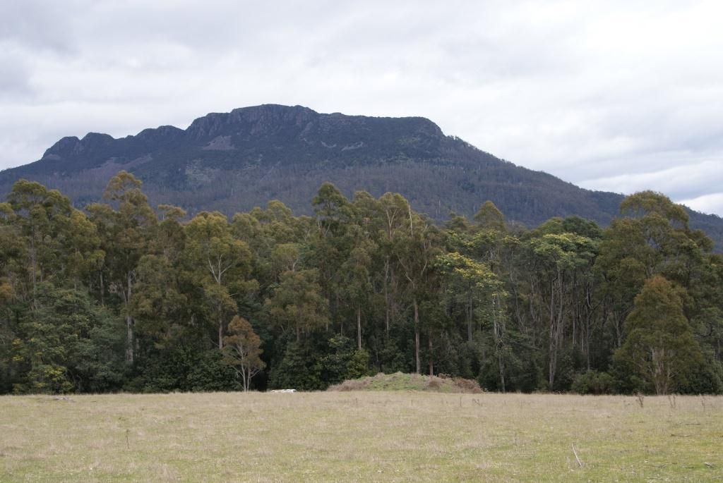 0 Bogan Road, Golden Valley TAS 7304, Image 0