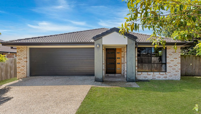 Picture of 40 Pencarrow Crescent, RACEVIEW QLD 4305