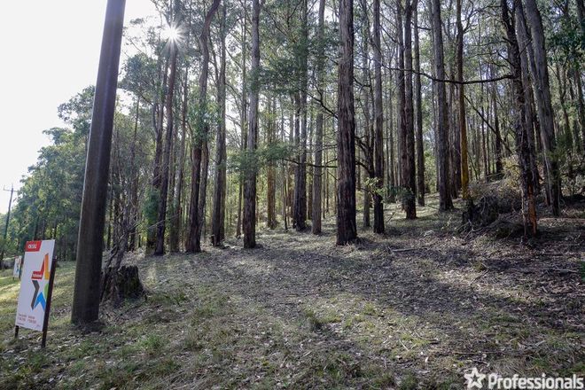 Picture of Lot 159 & Fisherman Drive, REEFTON VIC 3799