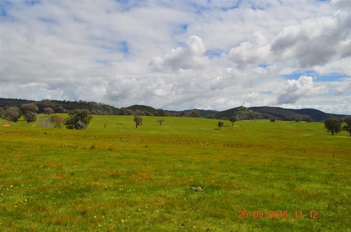 337 Ellerslie Road, Adelong NSW 2729, Image 0