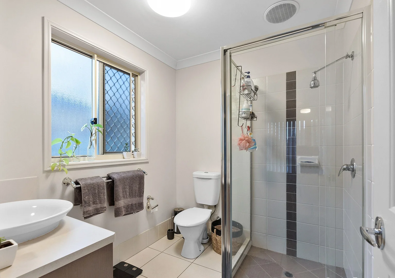 Additional image 6 of 56 Vineyard Street, One Mile QLD 4305